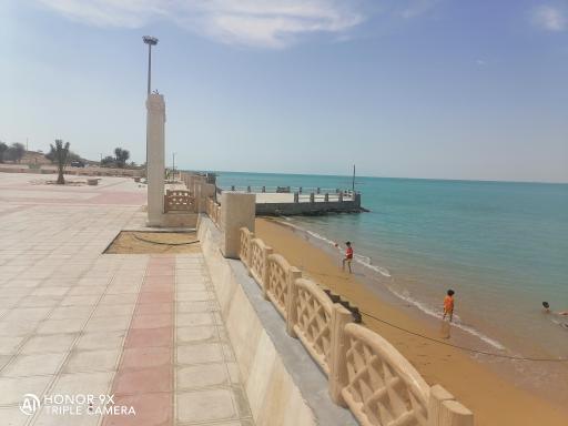 پارک کوویی