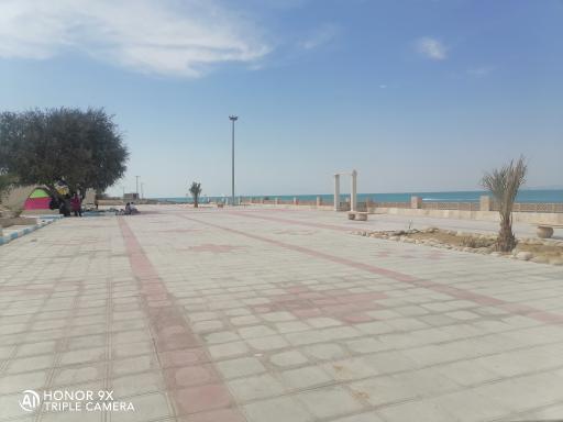 پارک کوویی