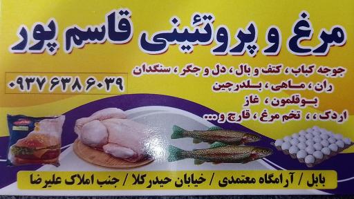 عکس مرغ و پروتئین قاسم پور