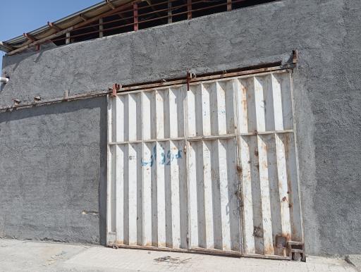 عکس نجاری پورهادی