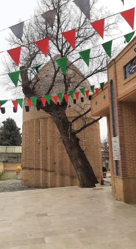 امامزاده شاهزاده حسین شاهزاده (ع)