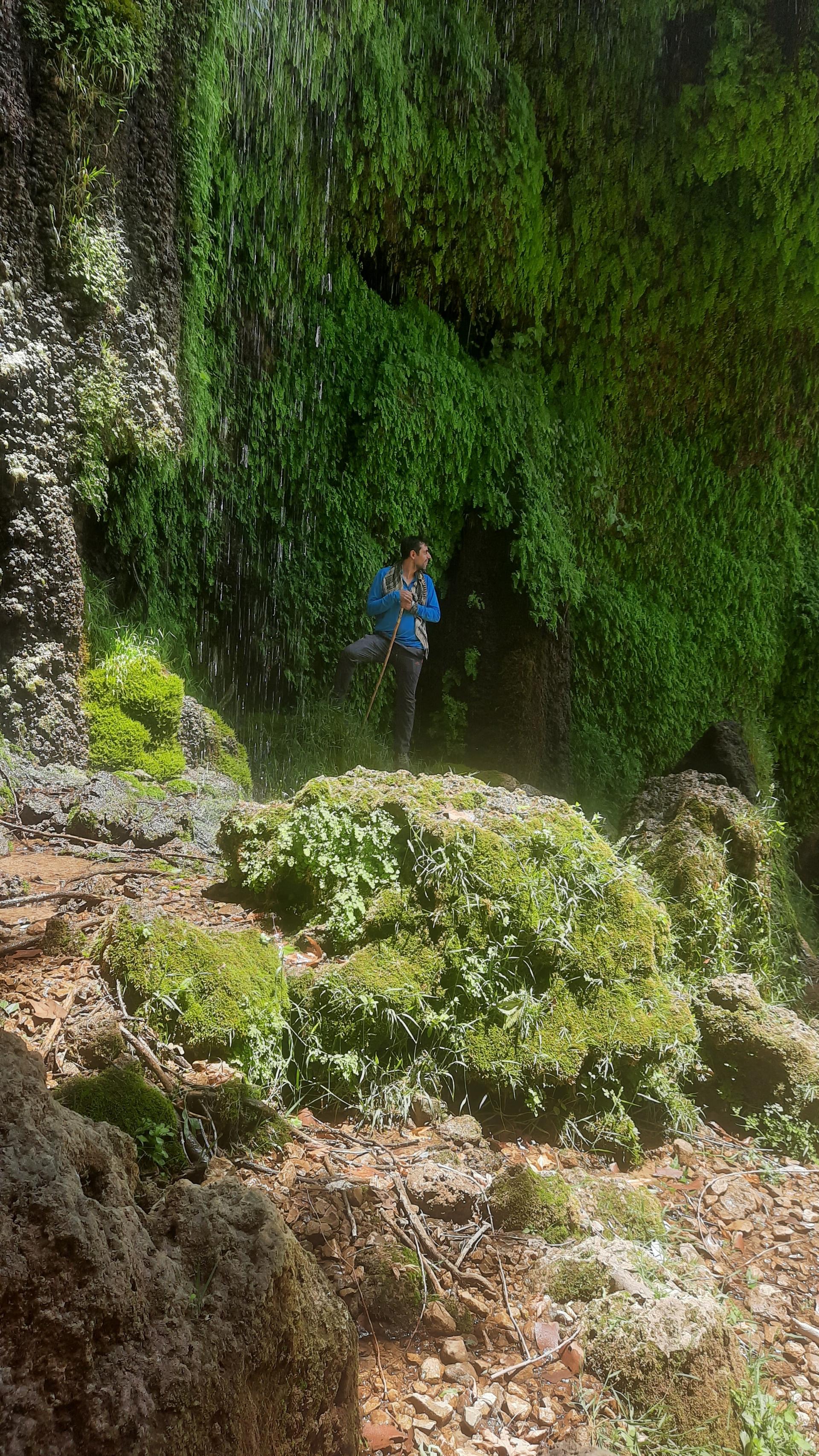 عکس آبشار زردلیمه