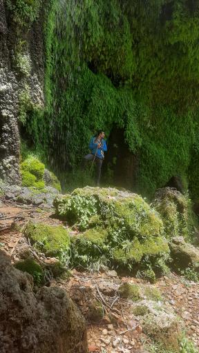 عکس آبشار زردلیمه