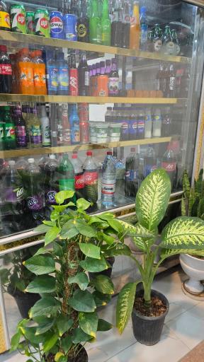 عکس پیتزا مکث