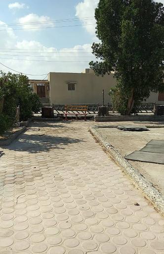 عکس پارک کوویی