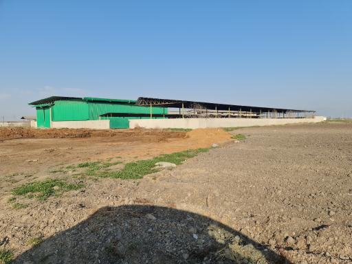 عکس شرکت پاک دام گنبد (زنجیره کشت صنعت و دامپروری)