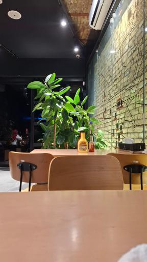 عکس فست فود شیلا