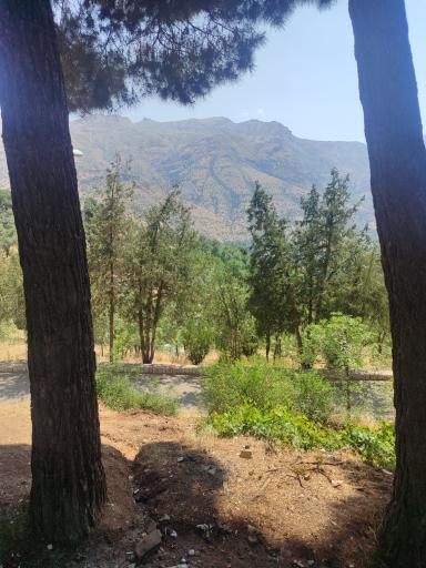 عکس پارک شهید کاظمی (پارک طبیعی کومکال)