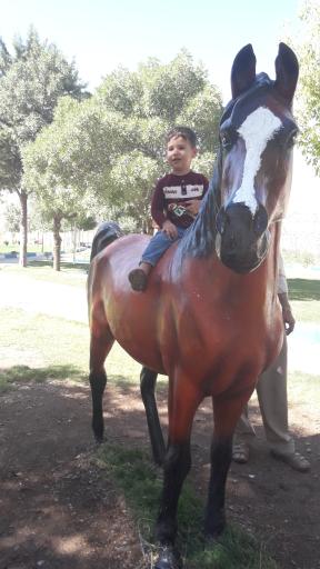 عکس پارک شهید کاظمی (پارک طبیعی کومکال)