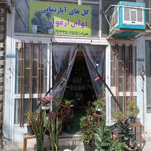 گلسرای آوای ارغوان
