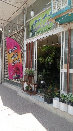گلسرای آوای ارغوان