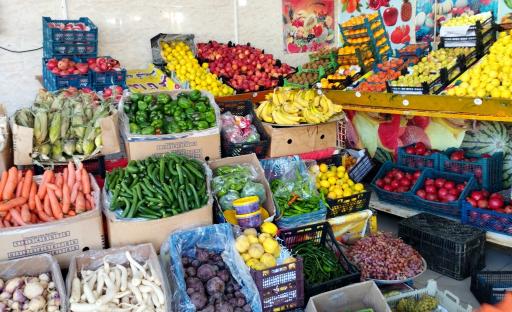 عکس میوه سرای رضا