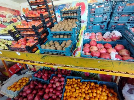 عکس میوه سرای رضا