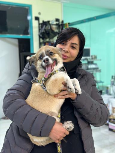 عکس کلینیک دامپزشکی تبریز هپی پت