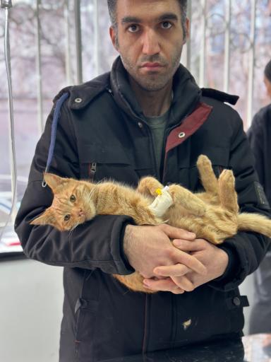 عکس کلینیک دامپزشکی تبریز هپی پت