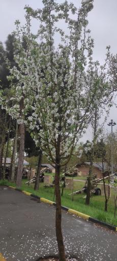 عکس موزه دفاع مقدس نزاجا