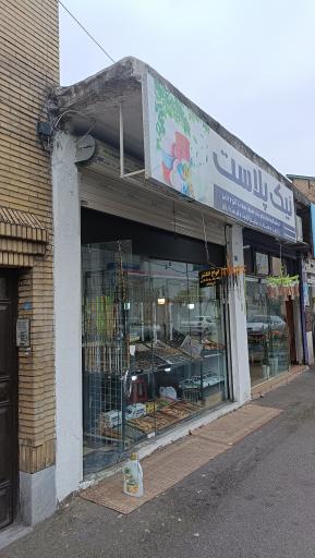 عکس نیک پلاست