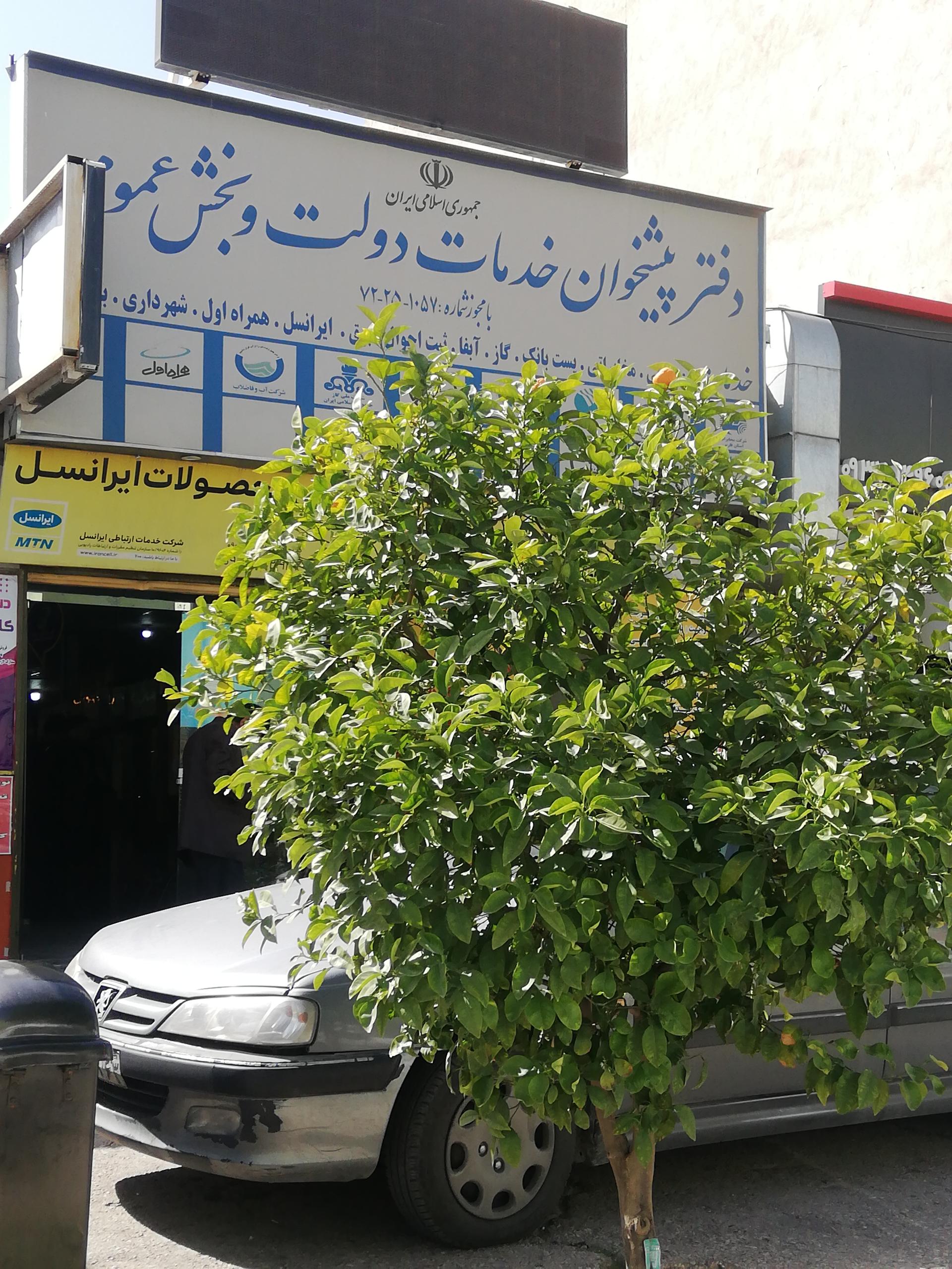 عکس دفتر پشخوان دولت وبخش عمومی 
