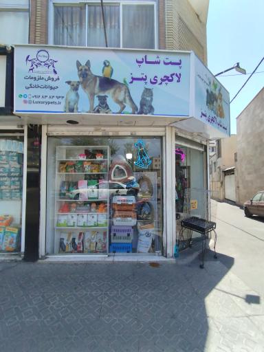 عکس پت شاپ لاکچری پتز