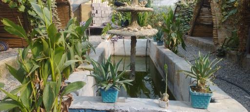 عکس کافه باغ فنجون