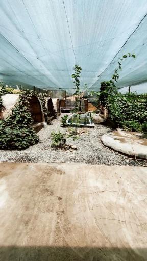 عکس کافه باغ فنجون