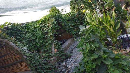 عکس کافه باغ فنجون