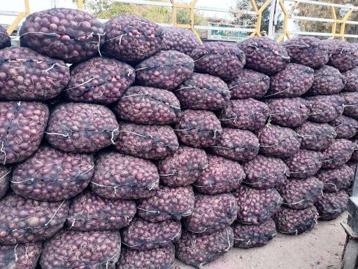 عکس مرکز خرید و فروش پیاز