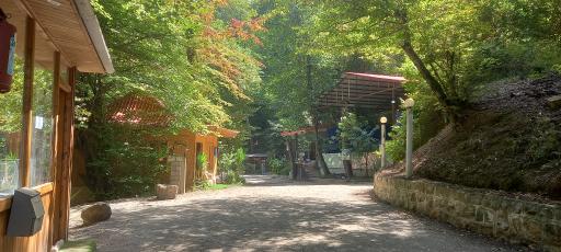 عکس پارک جنگلی نسوم آزاد مهر