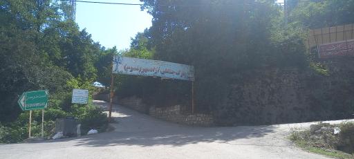 عکس پارک جنگلی نسوم آزاد مهر