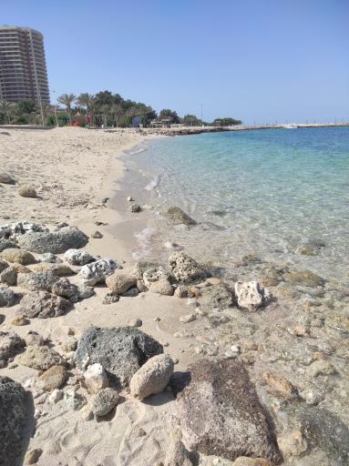 عکس ساحل مروارید نشان