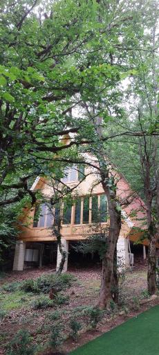 عکس پارک جنگلی نسوم آزاد مهر