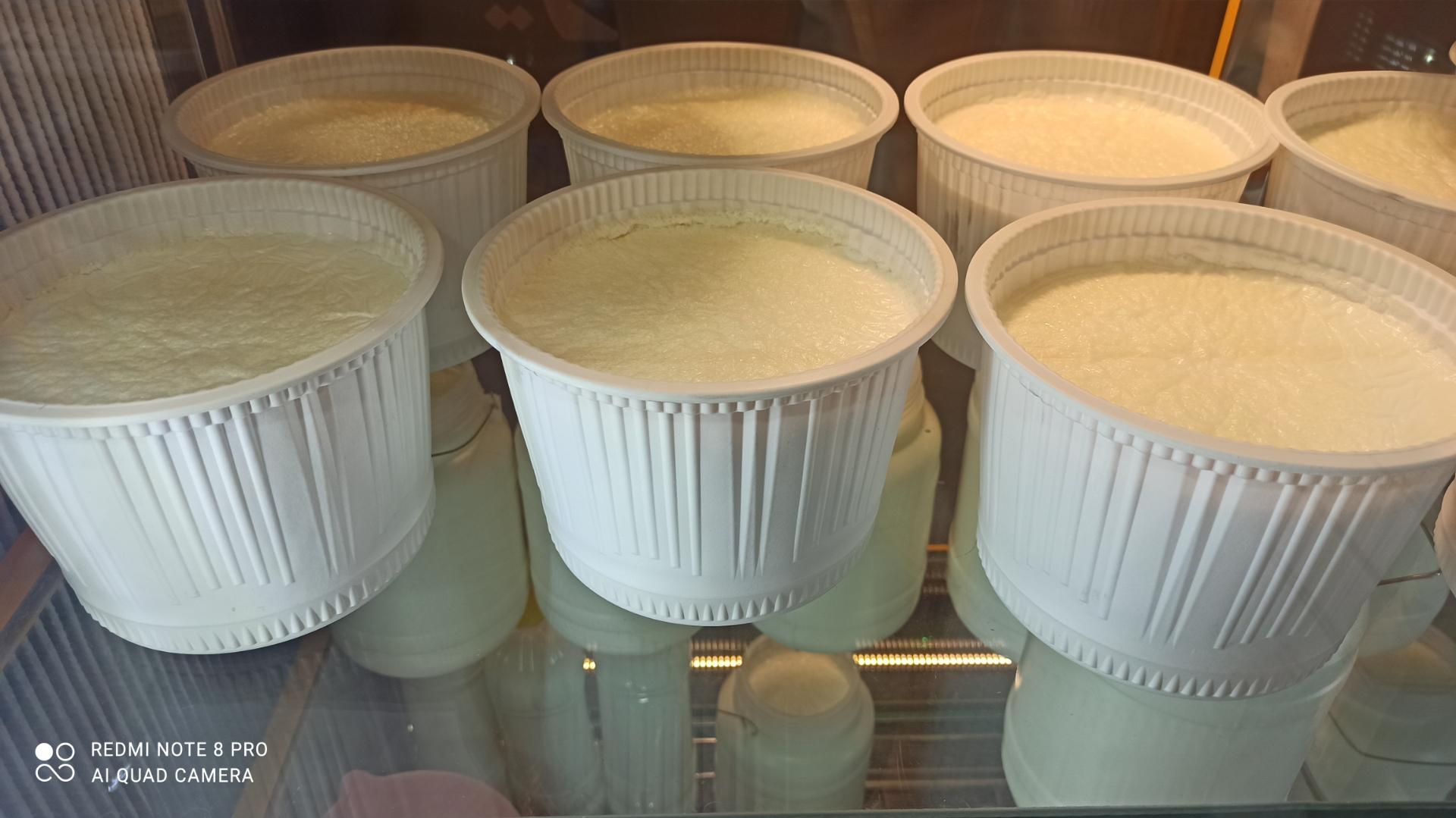 عکس لبنیات محلی محمدی 