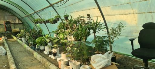 عکس گلخانه راه سبز 