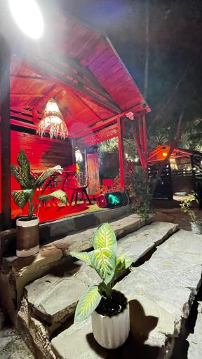 عکس باغ رستوران راز (کهتو کباب راز)