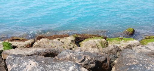 عکس اسکله بندر ریگ