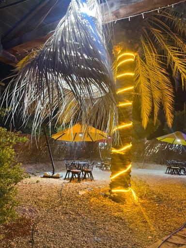 عکس باغ رستوران راز (کهتو کباب راز)