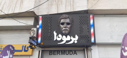 عکس پیرایش برمودا