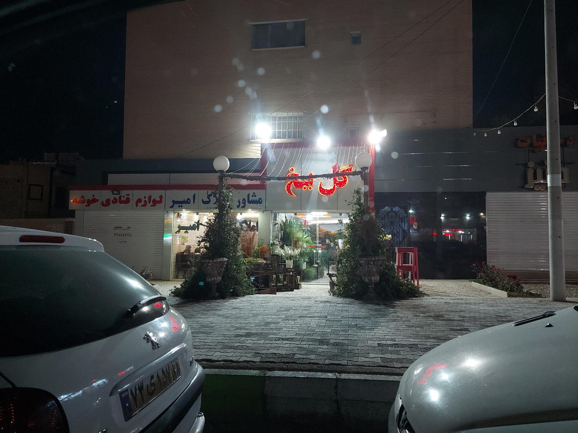 عکس گل یخ