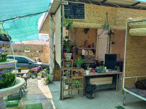 عکس سفره خانه هزارویک شب