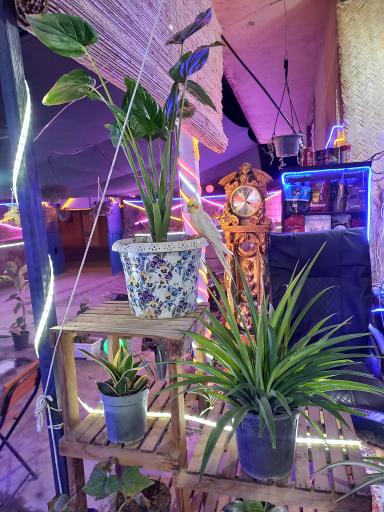 عکس سفره خانه هزارویک شب