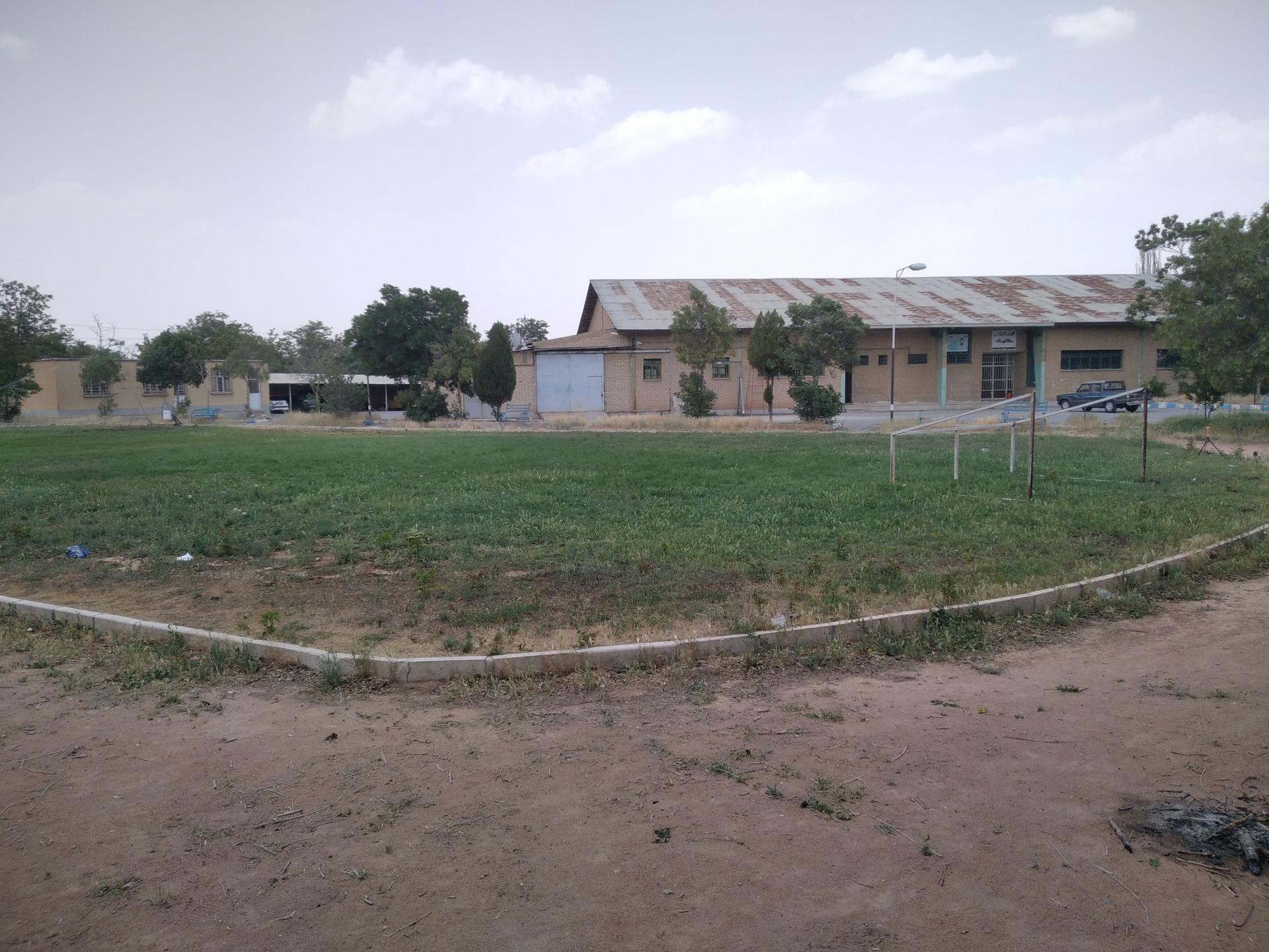 عکس زمین چمن طبیعی 