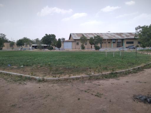 عکس زمین چمن طبیعی 