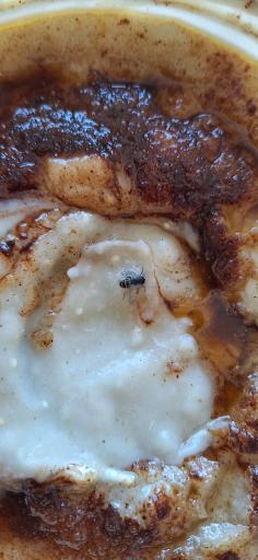 عکس آش و حلیم چهار فصل 