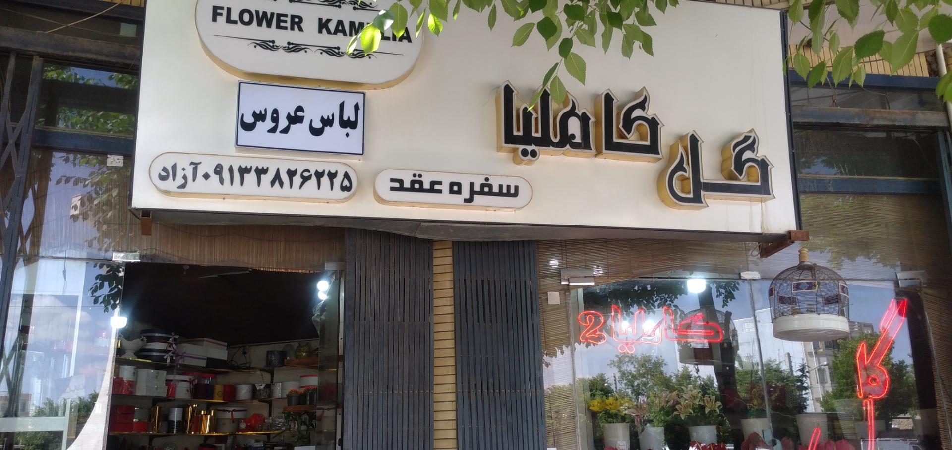 عکس گل فروشی کاملیا
