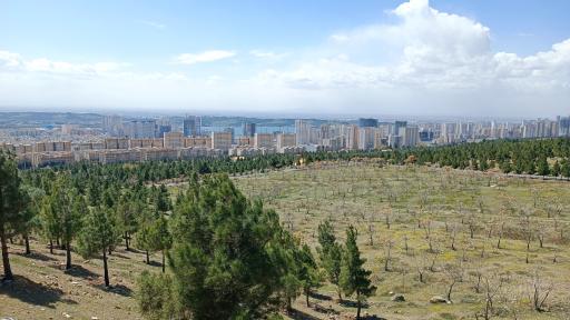 بوستان جنگلی لتمال کن