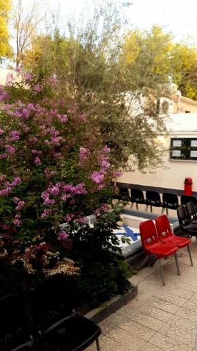 عکس موسسه زبان گویش (آوا)