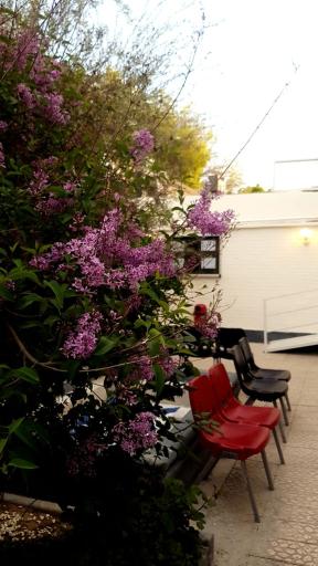 عکس موسسه زبان گویش (آوا)