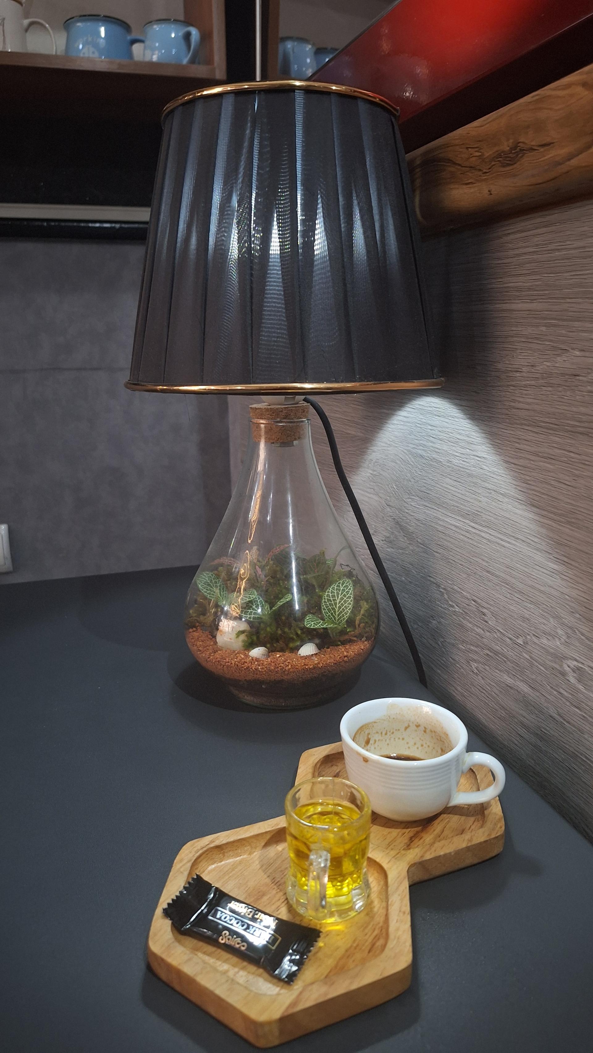 عکس فروشگاه تراریوم وال ای پلنت 