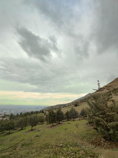 عکس بوستان جنگلی لتمال کن