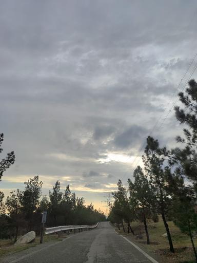 عکس بوستان جنگلی لتمال کن